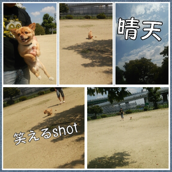 写真コラージュメーカー_KK8dzt.png image